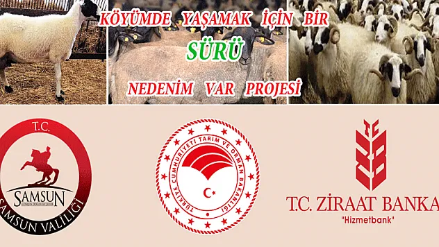 'Köyümde Yaşamak İçin Bir Sürü Nedenim Var' Projesi