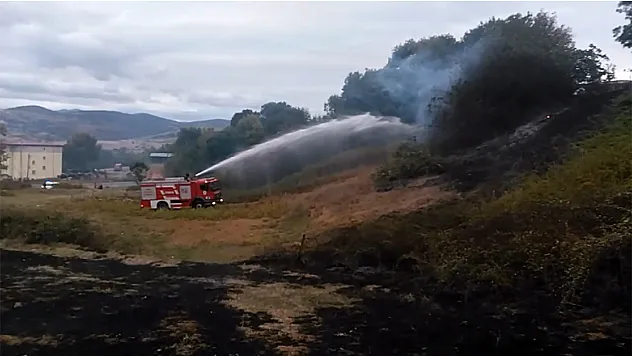 Anız yangını ağaçlık alana sıçradı