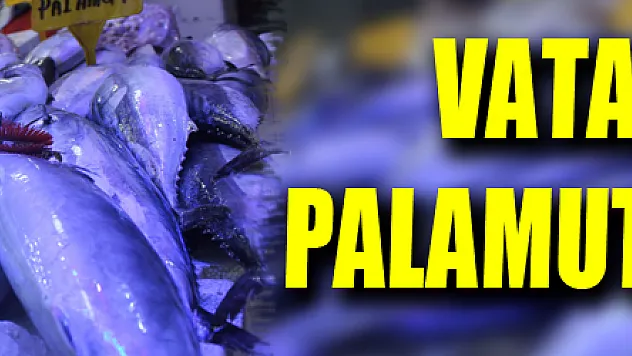 Vatandaşlar palamut stokluyor