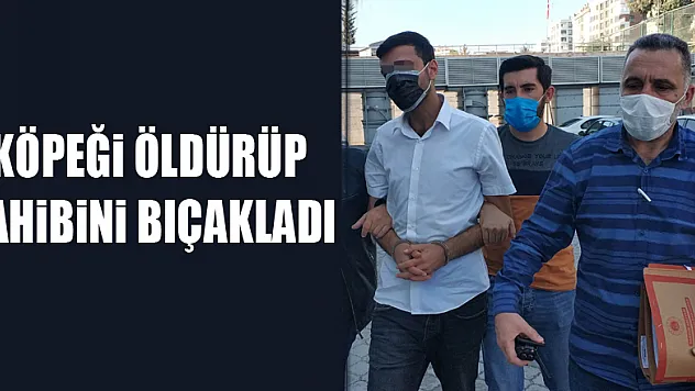 Köpeği öldürüp, sahibini bıçakladı