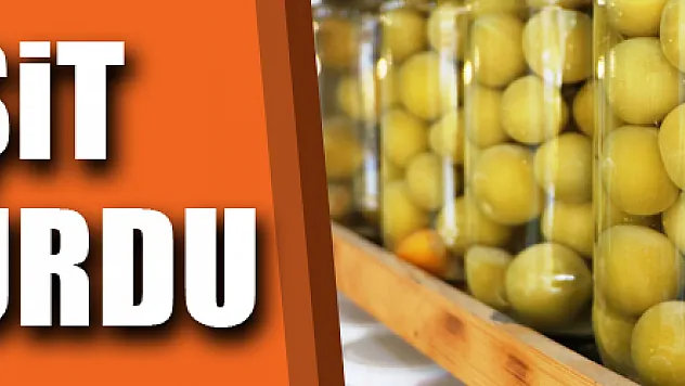 110 çeşit turşu kurdu