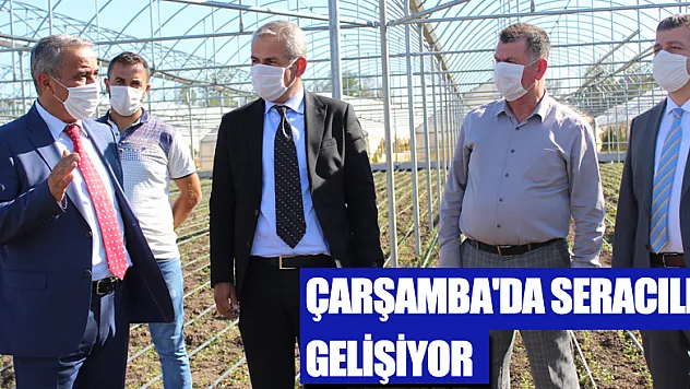 Çarşamba'da Seracılık Gelişiyor