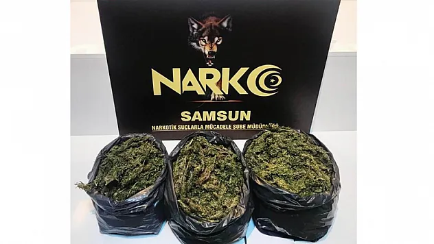 Samsun'da narkotik uygulaması: 16 gözaltı