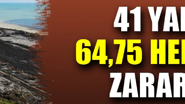 Samsun'da ormanlarda çıkan 41 yangında 64,75 hektar alan zarar gördü