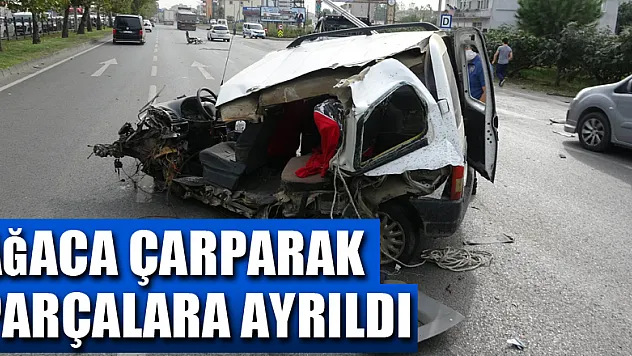 Ağaca çarparak parçalara ayrılan araçtan sağ çıktı