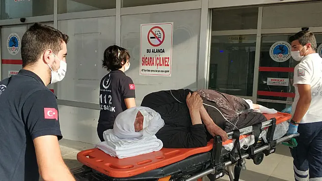 Kanepeden düşen yaşlı kadın hayatını kaybetti