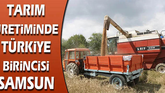 Samsun yerli ve milli tarım üretiminde Türkiye birincisi