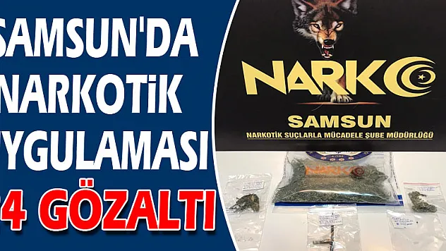 Samsun'da narkotik uygulaması: 24 gözaltı