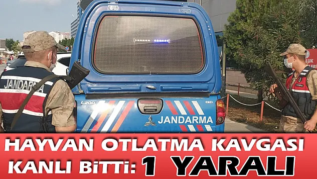 Hayvan otlatma kavgası kanlı bitti: 1 yaralı