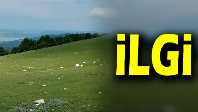 Tabiat parklarına olan ilgi azaldı