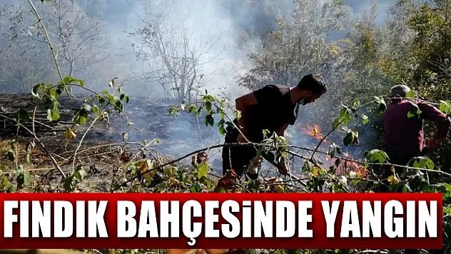 Fındık bahçesinde yangın
