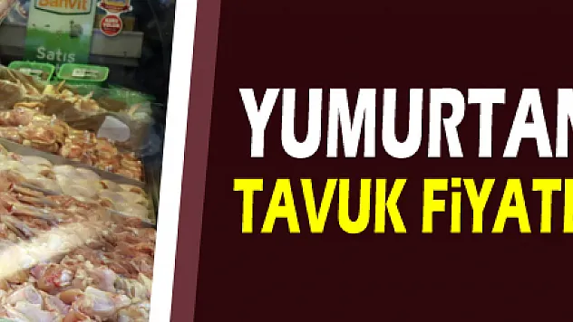 Yumurtanın ardından tavuk fiyatları da zamlandı