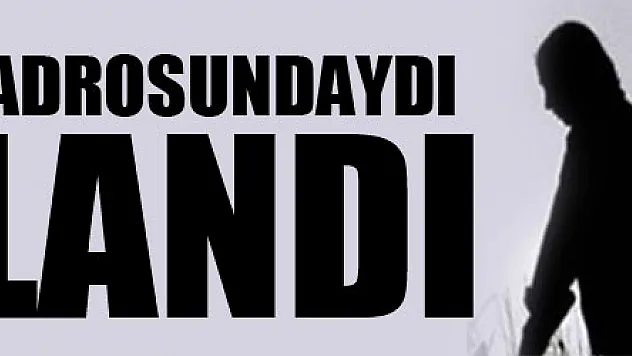 PKK'nın dağ kadrosunda 23 yıldır yer alan, mavi kategorideki terörist etkisiz hale getirildi