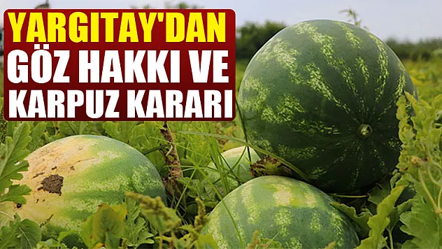 Yargıtay'dan göz hakkı ve karpuz kararı