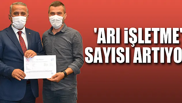 Samsun'da 'ari işletme' sayısı artıyor