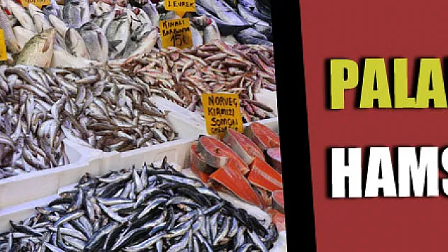 Palamuda 'elveda', hamsiye 'merhaba'