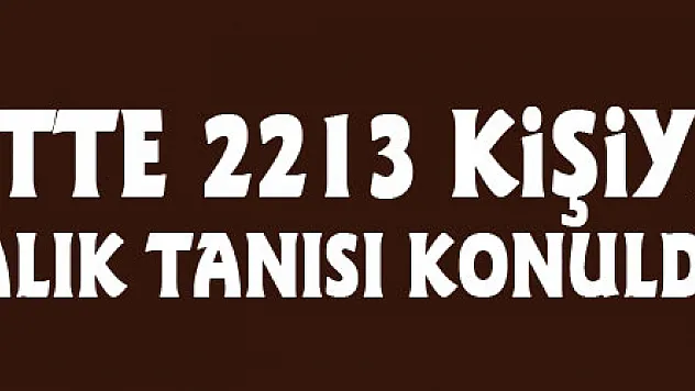 Türkiye'de son 24 saatte 2213 kişiye Kovid-19 hastalık tanısı konuldu