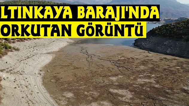 Altınkaya Barajı'nda korkutan görüntü