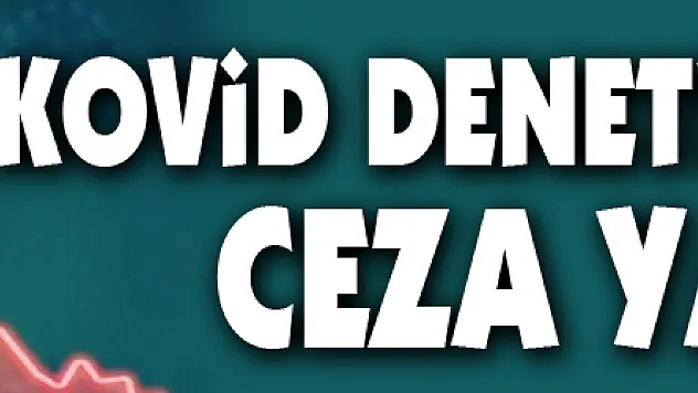 Samsun'da Kovid denetimlerinde 980 bin 773 TL ceza uygulandı