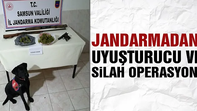 Jandarmadan uyuşturucu ve silah operasyonu