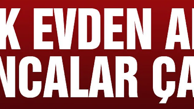 Yazlık evden antika tabancalar çalındı