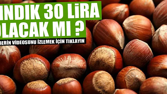 FINDIK 30 LİRA OLACAK MI?