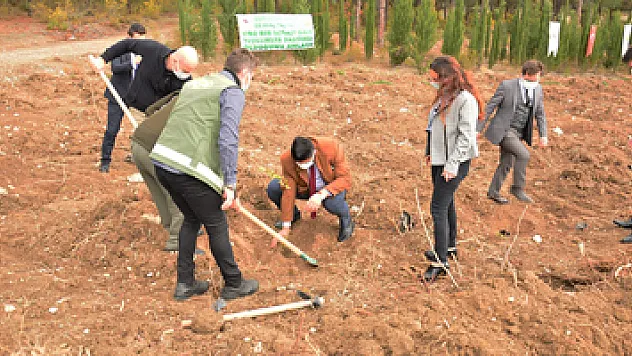 7 bin 200 fidan toprakla buluştu