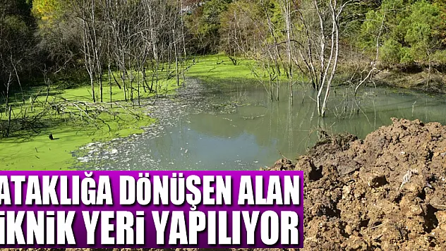 OMÜ'de bataklığa dönüşen alan piknik yeri yapılıyor