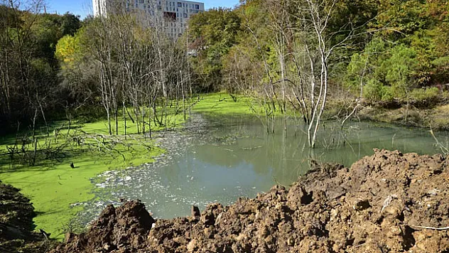 OMÜ'de bataklığa dönüşen alan piknik yeri yapılıyor