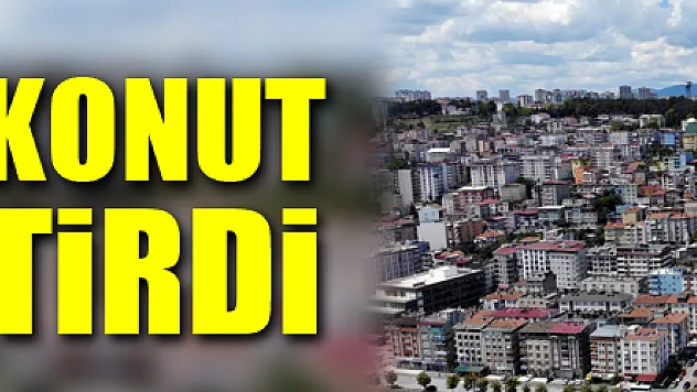 Samsun'da ekimde 2 bin 208 konut el değiştirdi