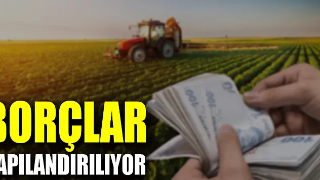Tarımsal amaçlı kooperatiflerin borçları yapılandırılıyor
