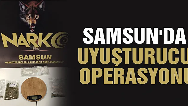 Samsun'da uyuşturucu operasyonu