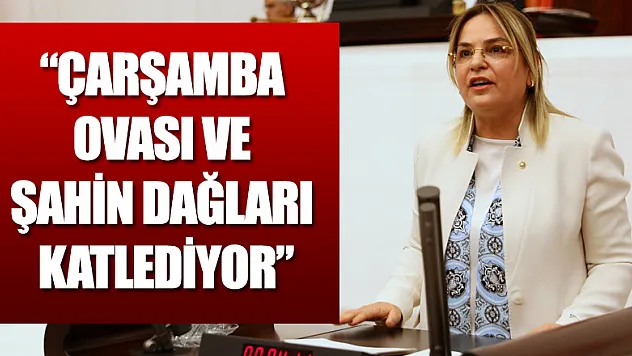 'Çarşamba Ovası ve Şahin Dağları katlediyor'