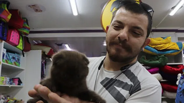 Evcil hayvan dükkanları taleplere yetişemiyor