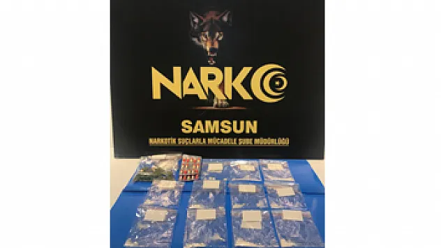 Samsun'da araçlarında kokain ele geçen 2 kişi gözaltına alındı