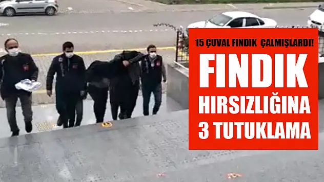 Fındık hırsızlığına 3 tutuklama