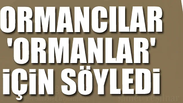 Ormancılar 'ormanlar' için söyledi