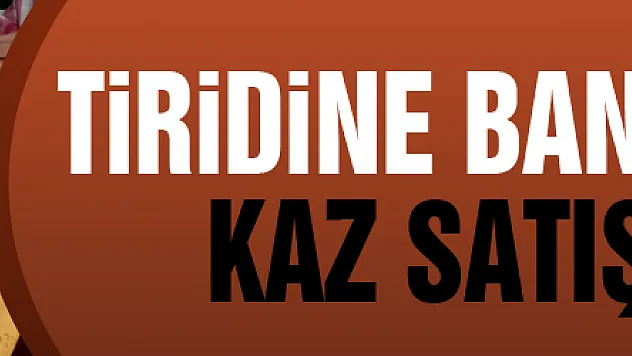 Tiridine banılmayınca kaz satışı düştü
