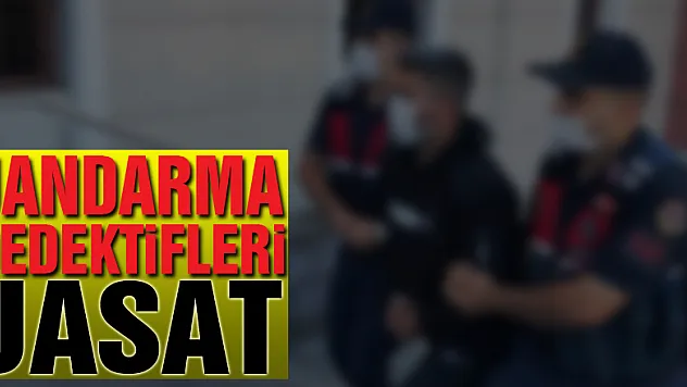 Jandarma dedektifleri JASAT