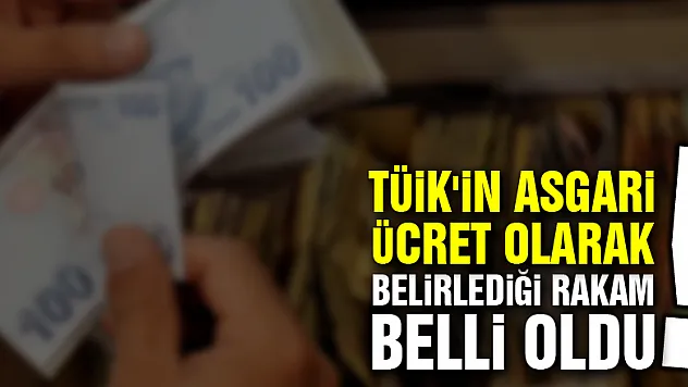 TÜİK'in asgari ücret olarak belirlediği rakam belli oldu!