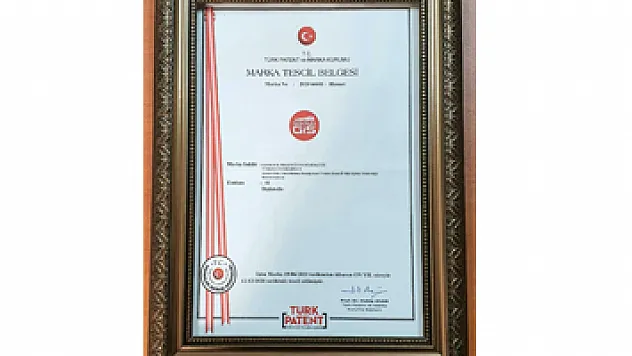 Samsun Öğrenci Gelişim İzleme ve Geri Bildirim Sistemi 'SAMGİS' markalaştı