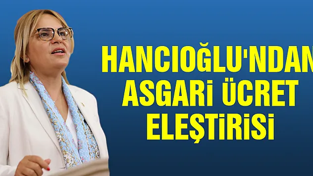 Hancıoğlu'ndan Asgari Ücret eleştirisi!