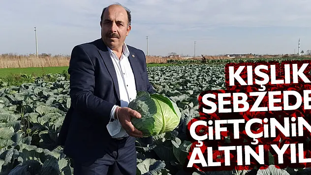 Kışlık sebzede çiftçinin altın yılı