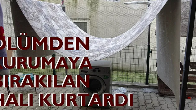 Cam silerken 3. kattan düşen kızı ölümden, kurumaya bırakılan halı kurtardı
