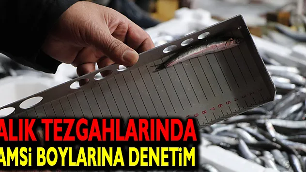 Balık tezgahlarında hamsi boylarına denetim