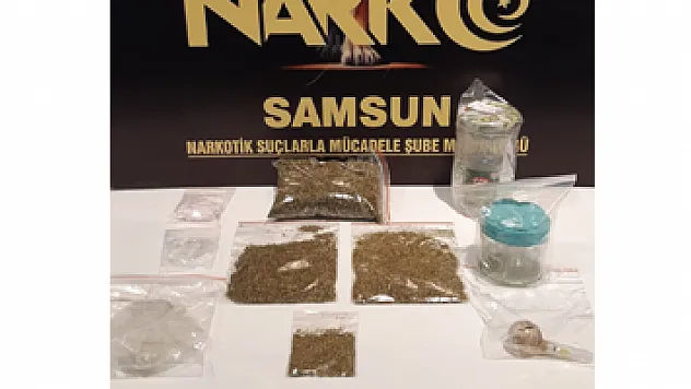 Samsun'da bonzai ile yakalanan 2 kişi gözaltına alındı