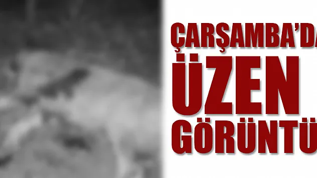 Çarşamba'da üzen görüntü!