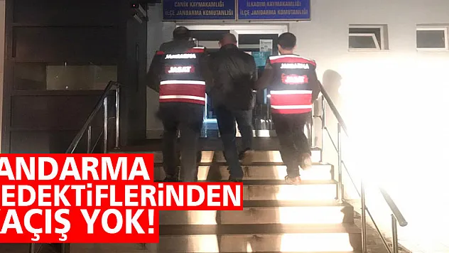 Jandarma Dedektiflerinden Kaçış Yok!