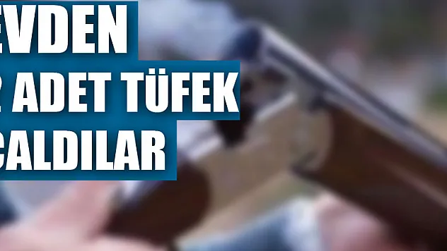Evden 2 adet tüfek çaldılar