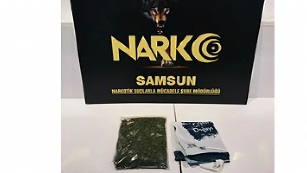 Samsun'da bonzai ile yakalanan şahıs gözaltına alındı